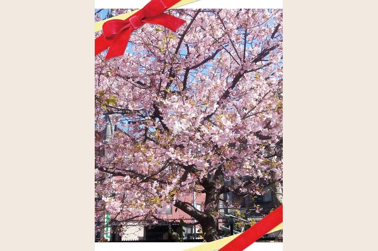 picute20140313170049