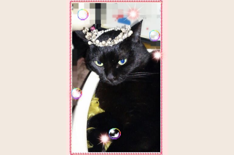 tiara