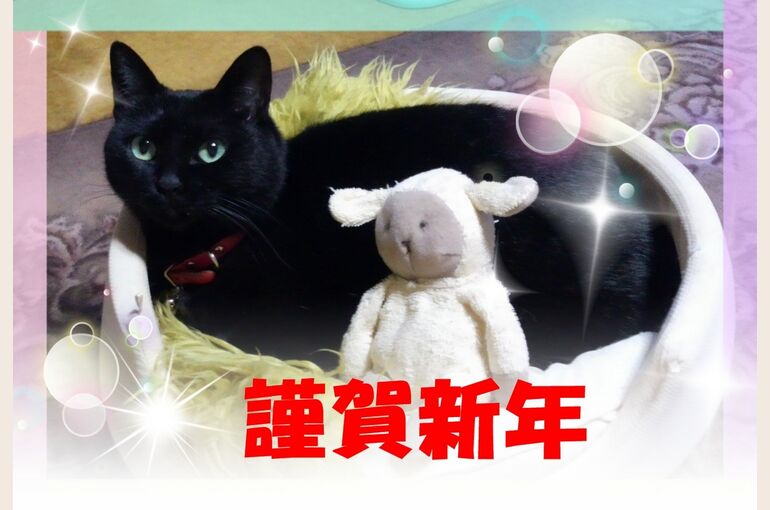 2015-01-05-09-16-35_deco