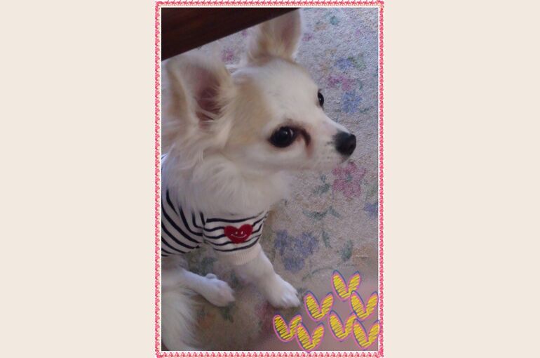 hana2