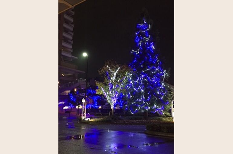 2016121018920