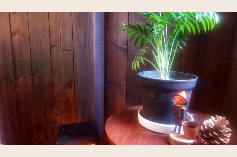 20201029162341-thumb-700x393-1981