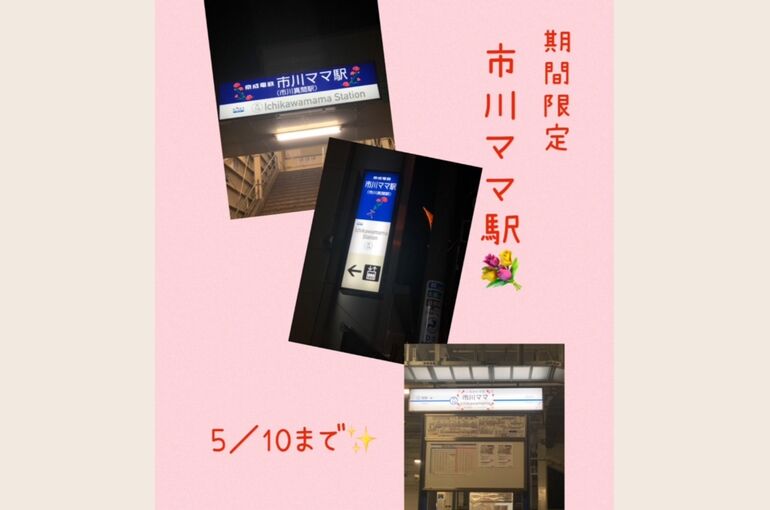 20215411536