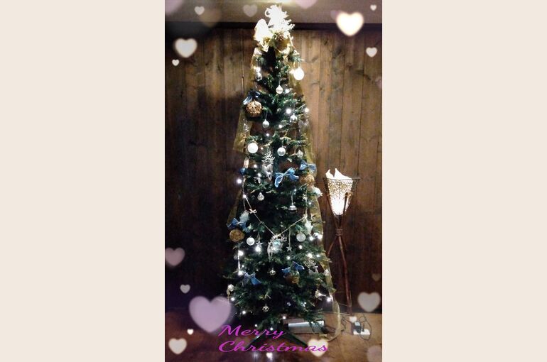21-12-23-16-17-31-605_deco