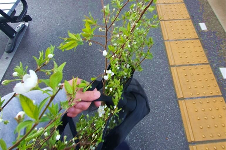 2022032911510600横長