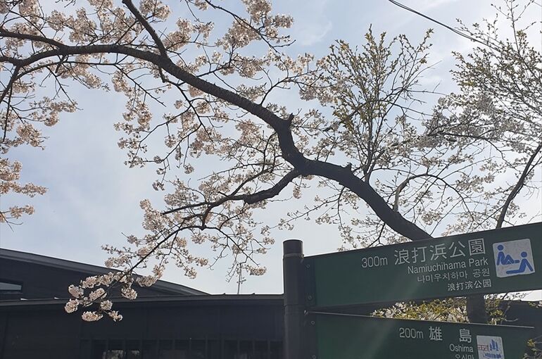 20220418_082208（横長）