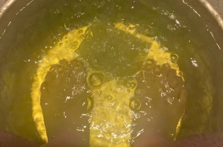水素バス