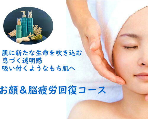 炭酸ガスパック 40分 A4横