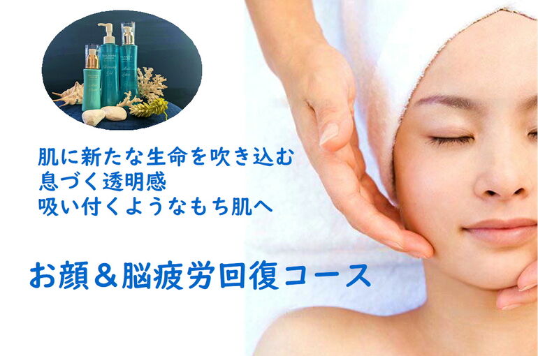炭酸ガスパック 40分 A4横