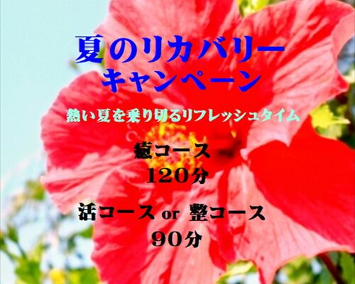 リカバリーオススメ