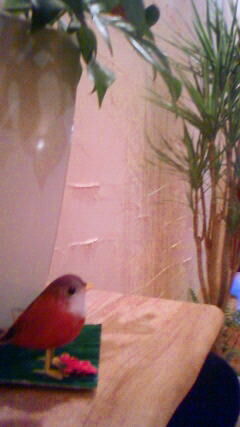 201207101147000.jpg