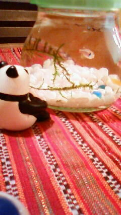 201207141019000.jpg