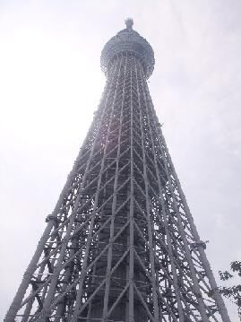 ツリー.jpg