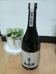 やませみ.JPG