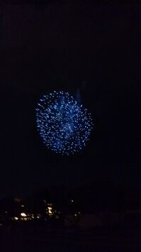 DSC_0285.jpg