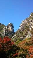 DSC_0418.jpg