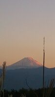 DSC_0440.jpg