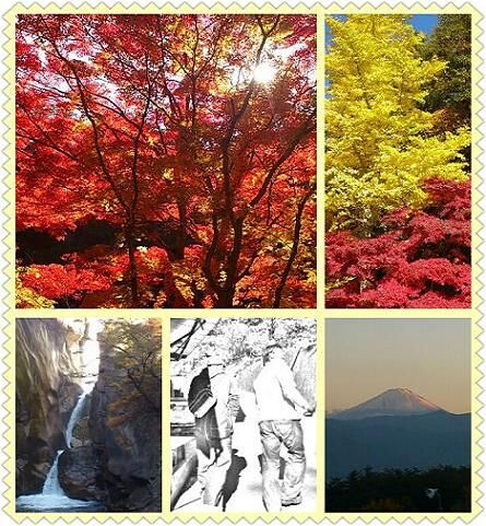 山梨.jpg