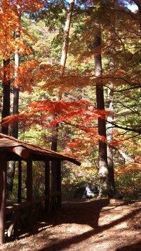 DSC_0307.jpg