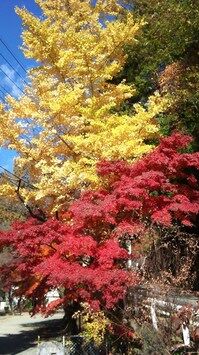 DSC_0309.jpg