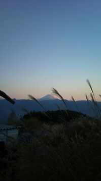 DSC_0314.jpg