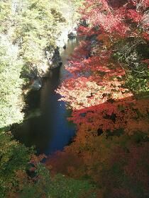 紅葉.JPG