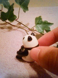 20120120_2513075.jpg