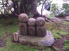 長谷寺なごみ.JPG