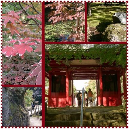 紅葉.jpg