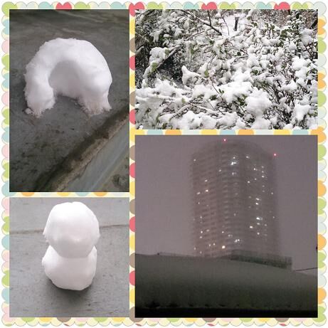 雪.jpg