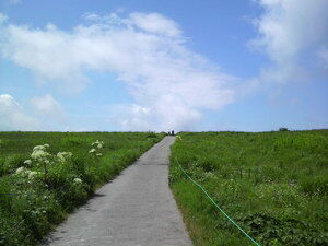 一本道　霧ヶ峰.jpg