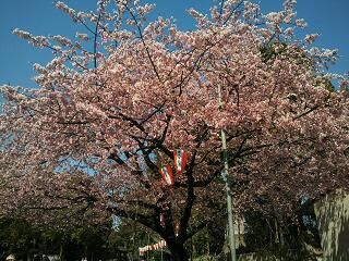 上野２.JPG