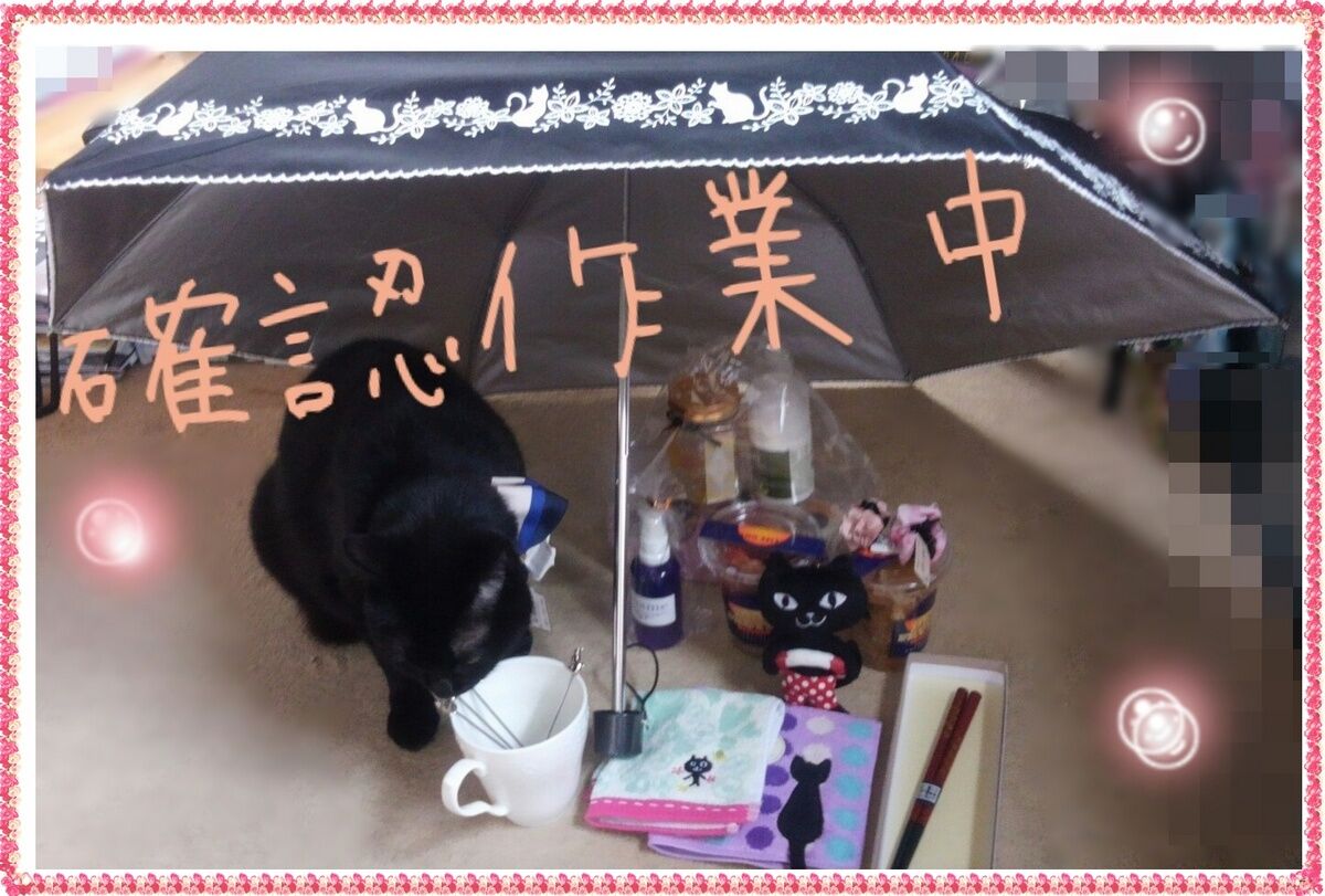 チェック.jpg