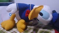 ドナルド.jpg