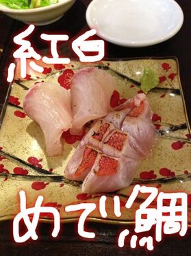めで鯛.jpg