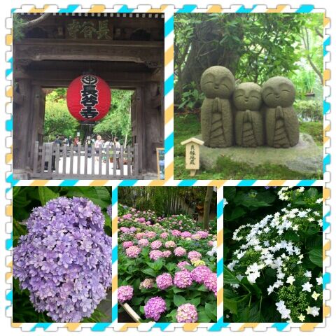 PhotoGrid_1339421408411.jpg