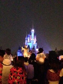 tdl4.jpg