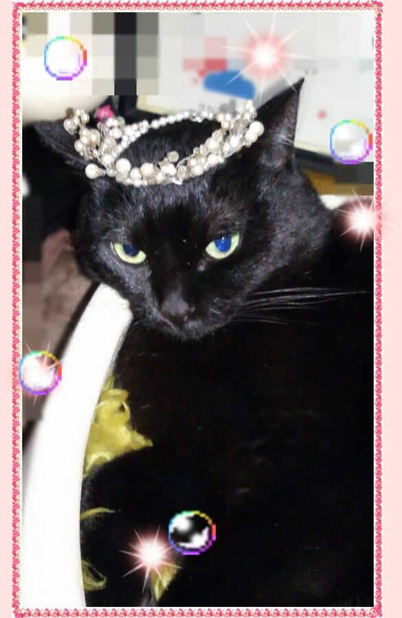 tiara.JPG