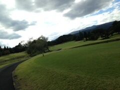 メイフラワー５.jpg