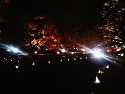 紅葉の道.jpg