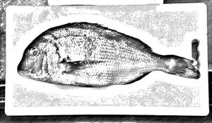 2015魚拓？.jpg