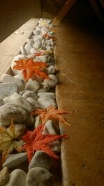 紅葉道４.jpg
