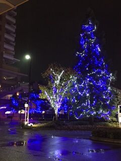2016121018920.JPG