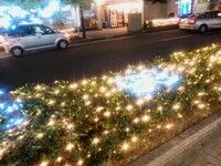 20161221204841.JPG
