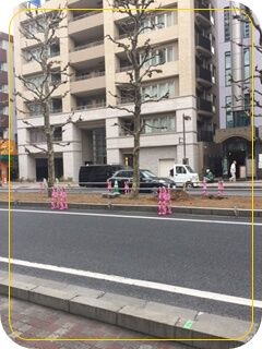 20172118834.JPG