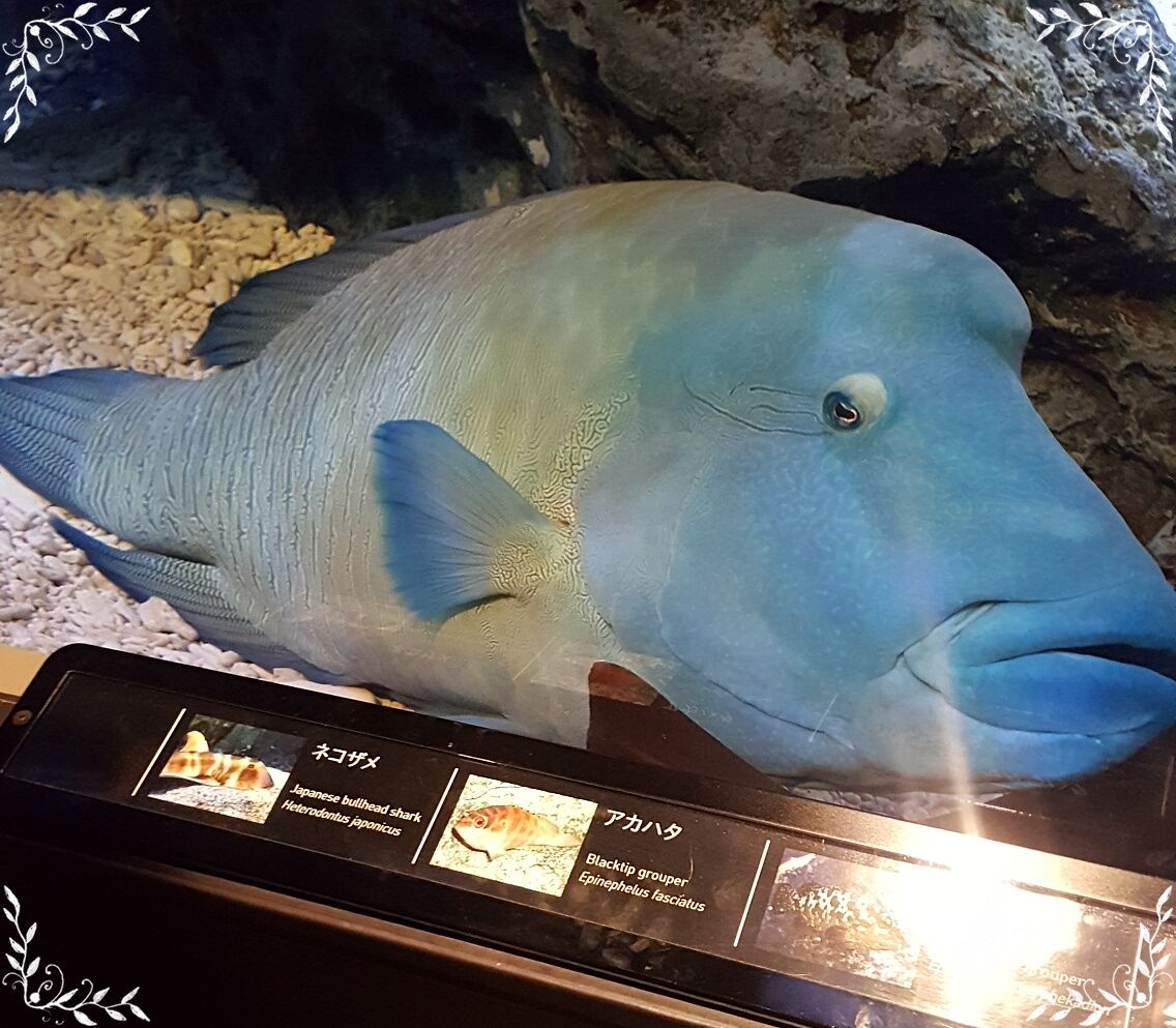 201731112837.jpg