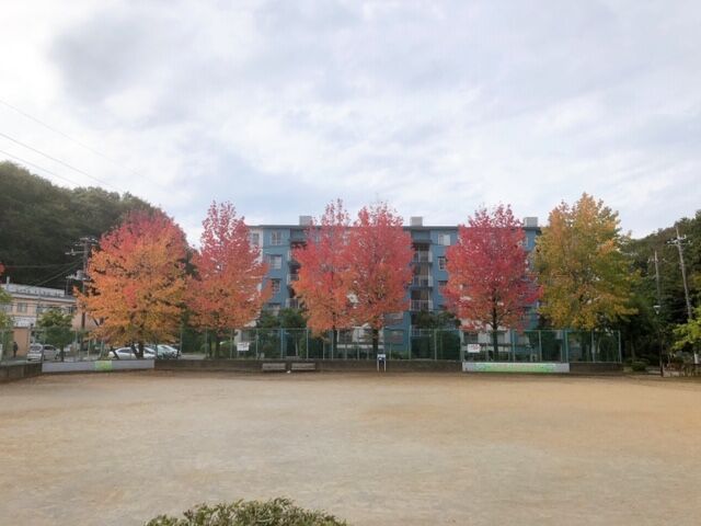 20201027144411.JPG