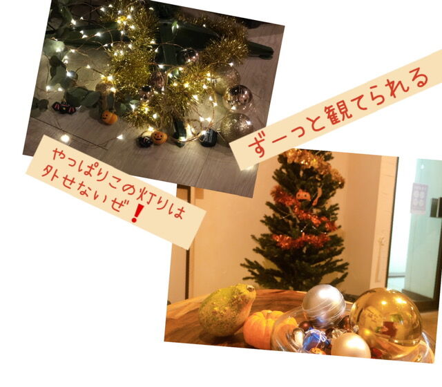 20201027161129.JPG
