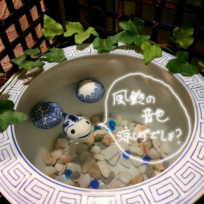 南の金魚