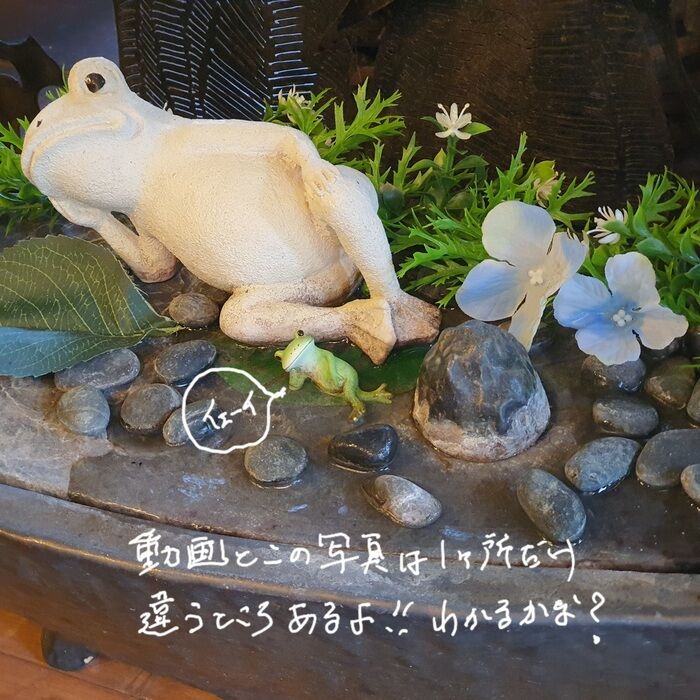 北口のツクバイ＆カエルさん